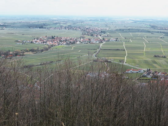 Blick von der Kapelle - Burrweiler im Vordergrund verdeckt - dahinter Hainfeld