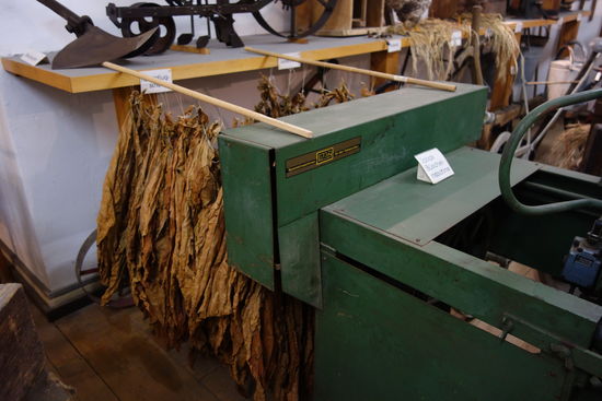 Tabakbüschelmaschine