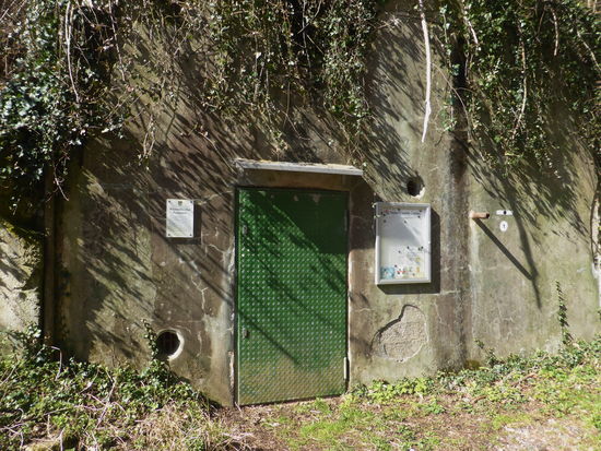 Westwallbunker - Pumpwerk
Rund um Albersweiler wurden in den Jahren 1936 bis 1940 insgesamt 15 'Bunkerbauwerke errichtet. Hier handelt es sich um eine Pumpstation für das höher gelegene Wasserreservoir. Von dort aus wurden zwei Bunker mit dem notwendigen Wasser versorgt. Heute dient es als Pumpstation für die Wasserversorgung des Naturfreundehauses "Kiesbuckel".