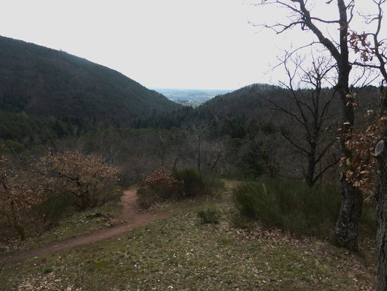 Blick von der Terrasse