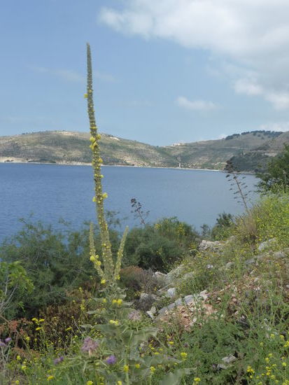 Bucht von Porto Palermo