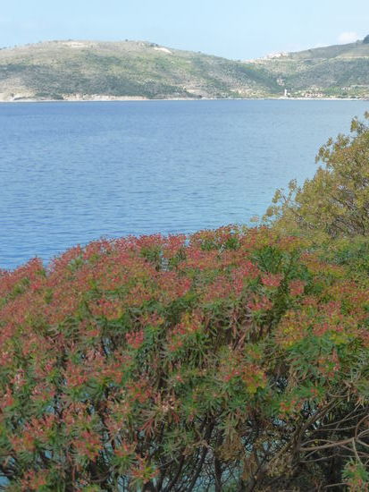 einen Bunker kann man bei diesem Blick nicht ausmachen
