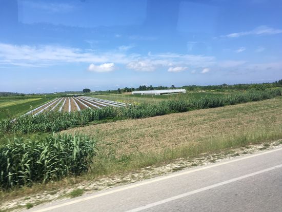 landwirtschaftlich intensiv genutzte Myzeqe-Ebene