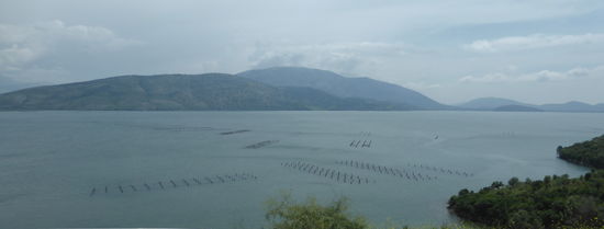 Muschelzucht im Mischwasser