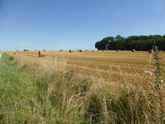 von der Domaine nach Montier-en-Der