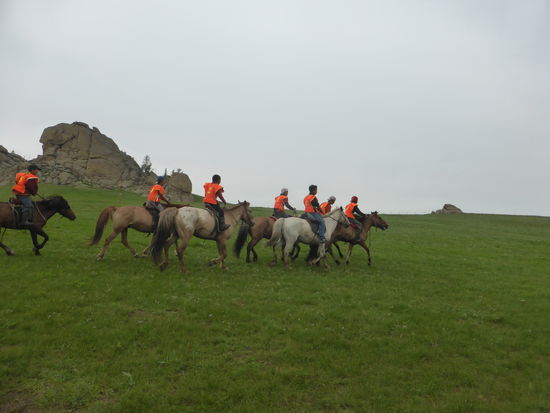 Pferderenn auf den (etwas kleineren) Mongolenpferden