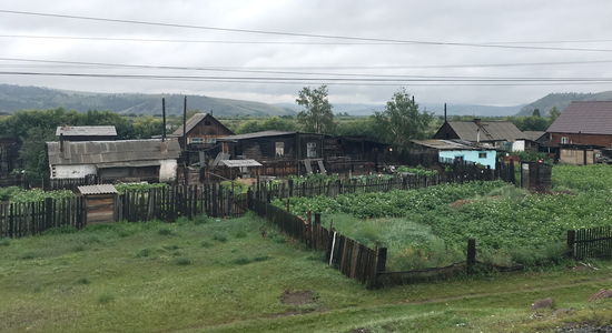 die Selbstversorger bauen alles in abgezäunten Arealen an - hier blühen die Kartoffeln
