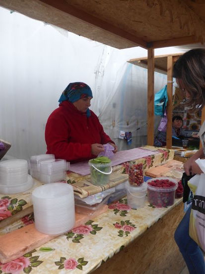 Monokultur Himbeeren