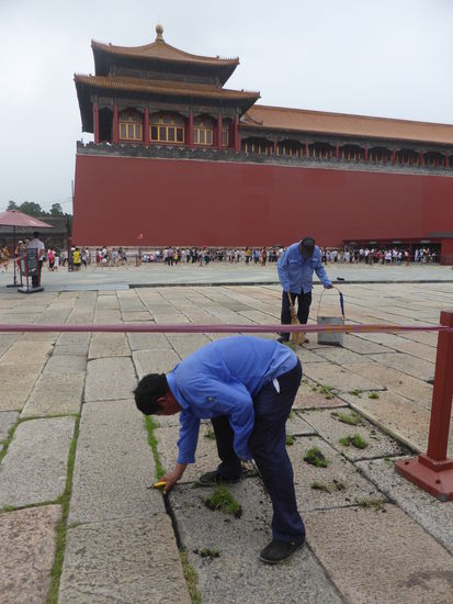 im abgesperrten Bereich werden die Grasbüschel per Hand aus den Fugen entfernt