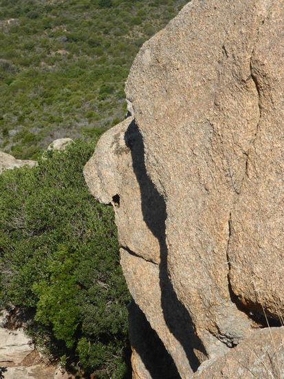 für mich ist dies ein Gesichtsportrait
