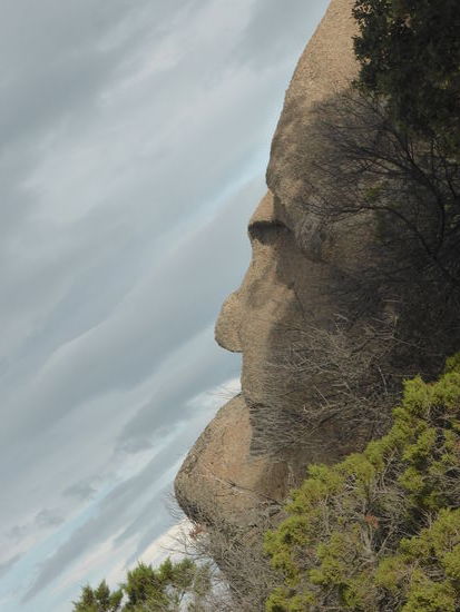 noch ein Gesichtsportrait