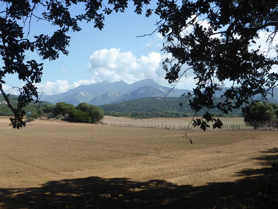 Hochebene von Cauria