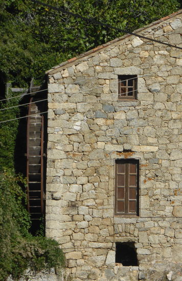danach gehen die Früchte sofort in die Ölmühlen