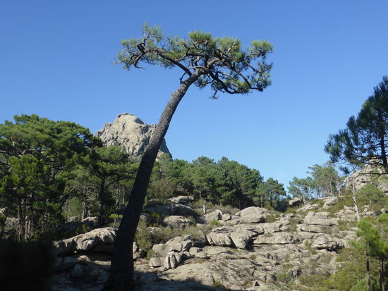 Bergwelt bei Ospedale
