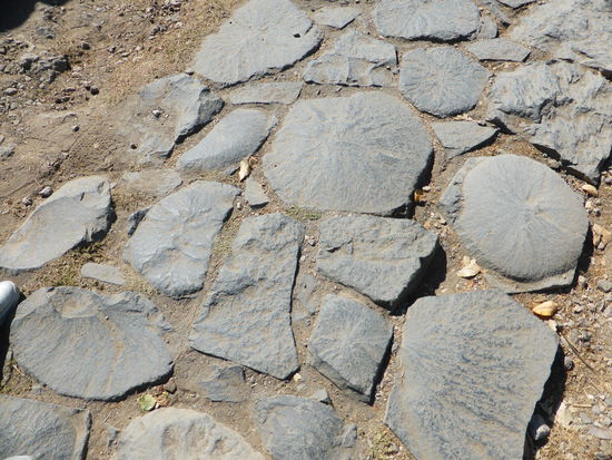 die Wege sind 'gepflastert' mit Basaltsäulenstücken aus dem nahegelegenen Canyon, die die bekannte Fünfeckform haben