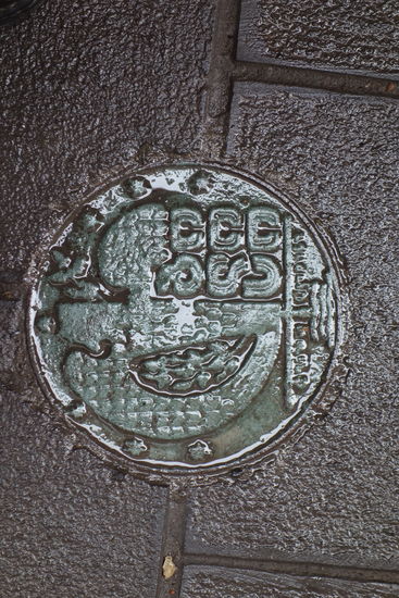 ein georgischer Gully-Deckel - ob für Wasser oder Gas weiß ich nicht