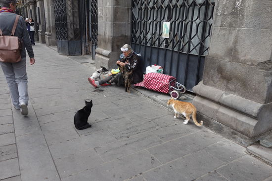 Anna wartet auf die Gruppe