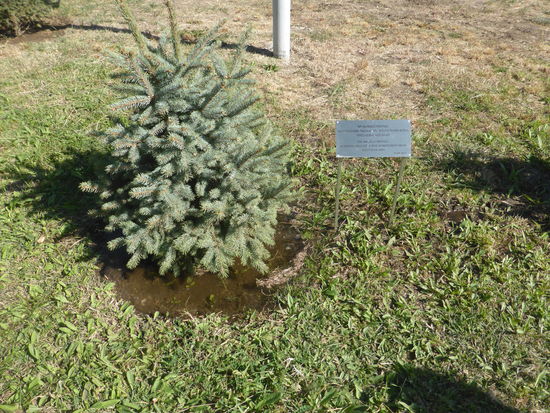 die deutsche Bundeskanzlerin