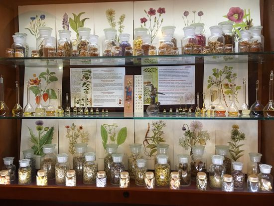 Sammlung von Heilpflanzen