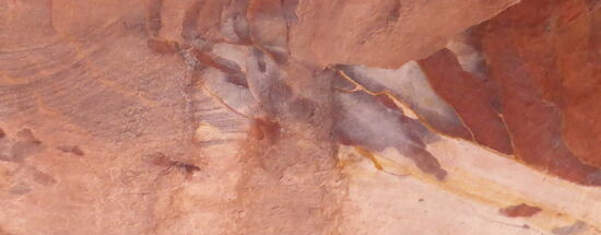 mit Phantasie erkennt man an der Decke einen Fisch