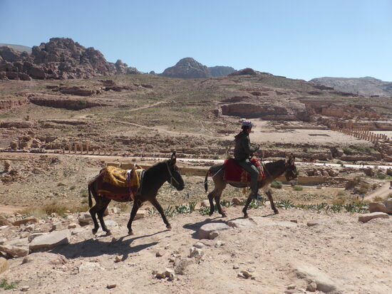 Blick von oben auf die Säulenstrasse und das Nympäneum