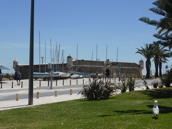 Fort Ponta da Bandeira