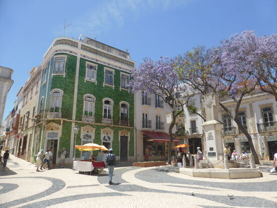 Denkmal des gefallenen Soldaten auf einem hübschen kleinen von Jacarandas gesäumten Platz