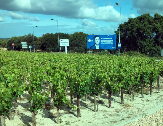 wir befinden uns schon in einer Weingegend