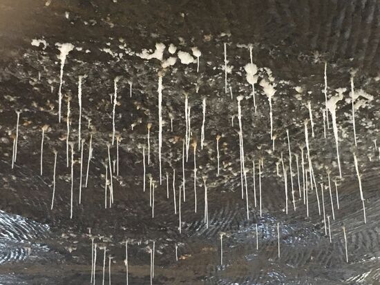 da wo Wasser im Spiel ist, entstehen Tropfsteine