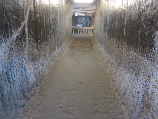 der Rückweg führt über die gleichen Gönge