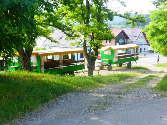 unser Gasthaus bietet wohl auch Pferdewagenausflüge an