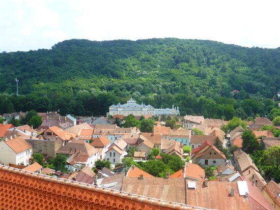 am Waldrand der Bahnhof