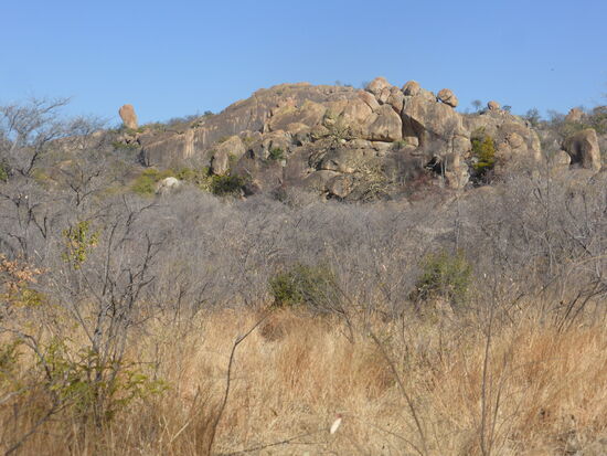 Fantastische aufeinandergestapelte Felsformationen, die Balancing Rocks, stehen mitten in der satten Landschaft, geschaffen durch Millionen Jahren Erosion und Wetterabrieb.