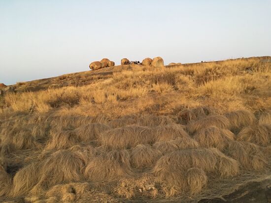 beim Abstieg fallen mir die dicken Grasbüschel auf, die vom ständigen Wind in einer Richtung gekämmt sind