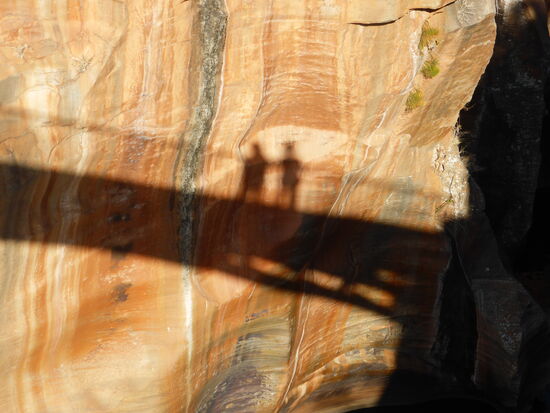 auch eine Art von 'Selfie'