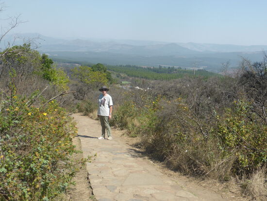 Blick ins Lowfield mit Krüger Nationalpark