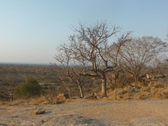 schöner Rundblick auf das Lowfield