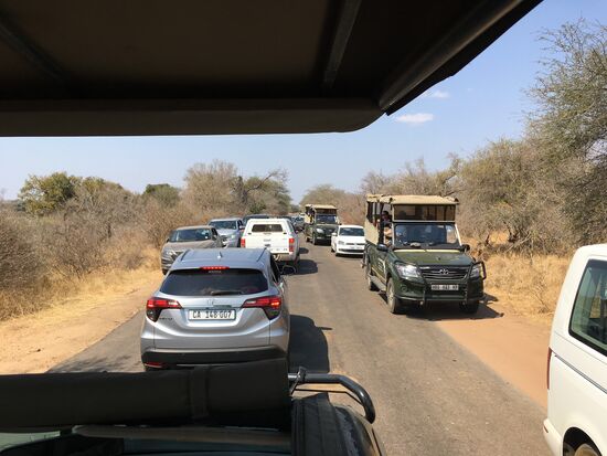 hier gibt es wieder was Tolles zu sehen