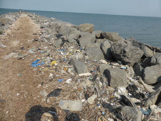 leider ist auch hier noch nichts von den Bemühungen von 'Greta' angekommen
