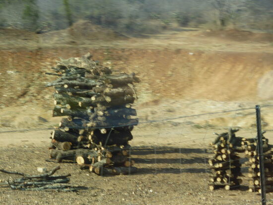 Holz in allen Variationen