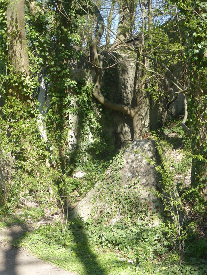 einsamer Höcker des Westwalls