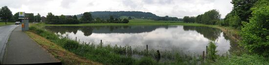 im Hintergrund der Lousberg