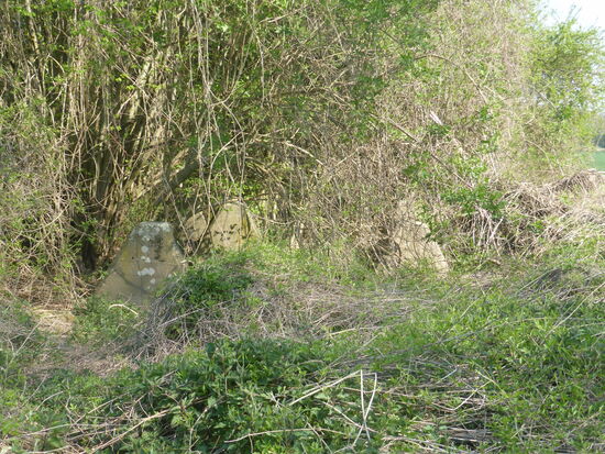 fündig geworden an 50°48'35.4"N 6°01'41.0"E - inmitten zahlreicher Windräder