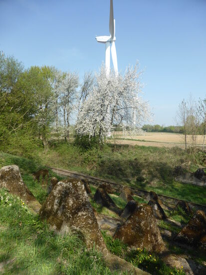 selbst eine stillgelegte Bahnlinie wird noch vom Westwall gequert - sie sind unter der Bezeichnung Drachenzähne bei Bocholtz bekannt - 50°48'47.4"N 6°01'40.0"E