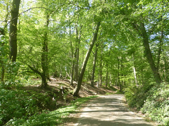 Zugang zum Amstelbachtal über die Heydener Strasse (Pannesheide)