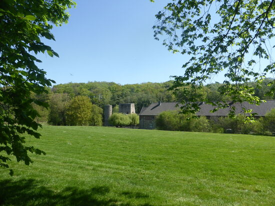 Ruine der Wasserburg Heyden