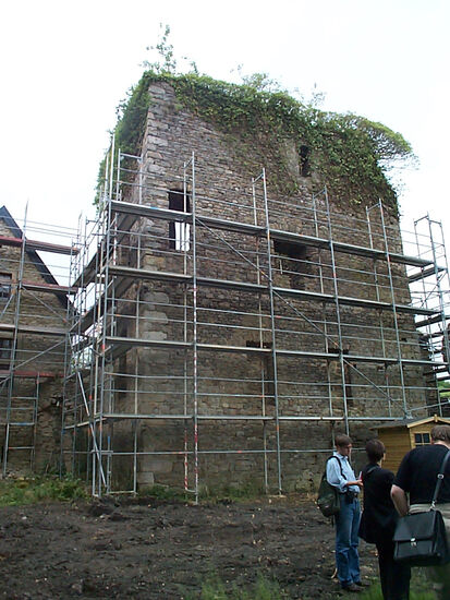 die Ruine der Wasserburg mußte von ihrem vollständigen (zerstörerischen) Efeukleid befreit werden