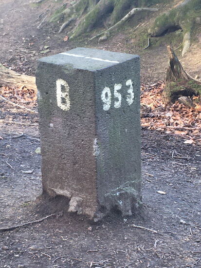 es geht mehrfach an Grenzsteinen vorbei, die mit ihrem Strich auf der Oberkante die Grenzrichtung anzeigen