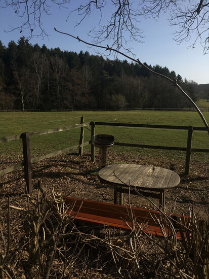wir biegen nach kurzer Zeit wieder nach rechts in den Wald ab - für den Sommer gibt es hier einen kleinen Grillplatz