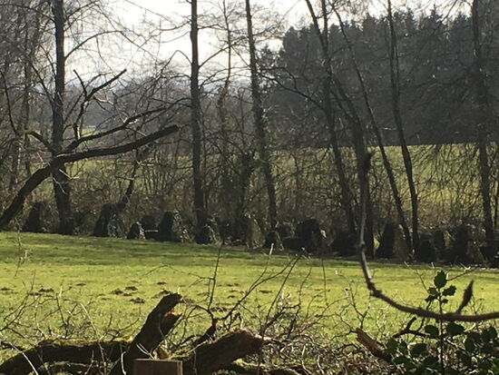 setzen sich entlang der Wiesen fort.